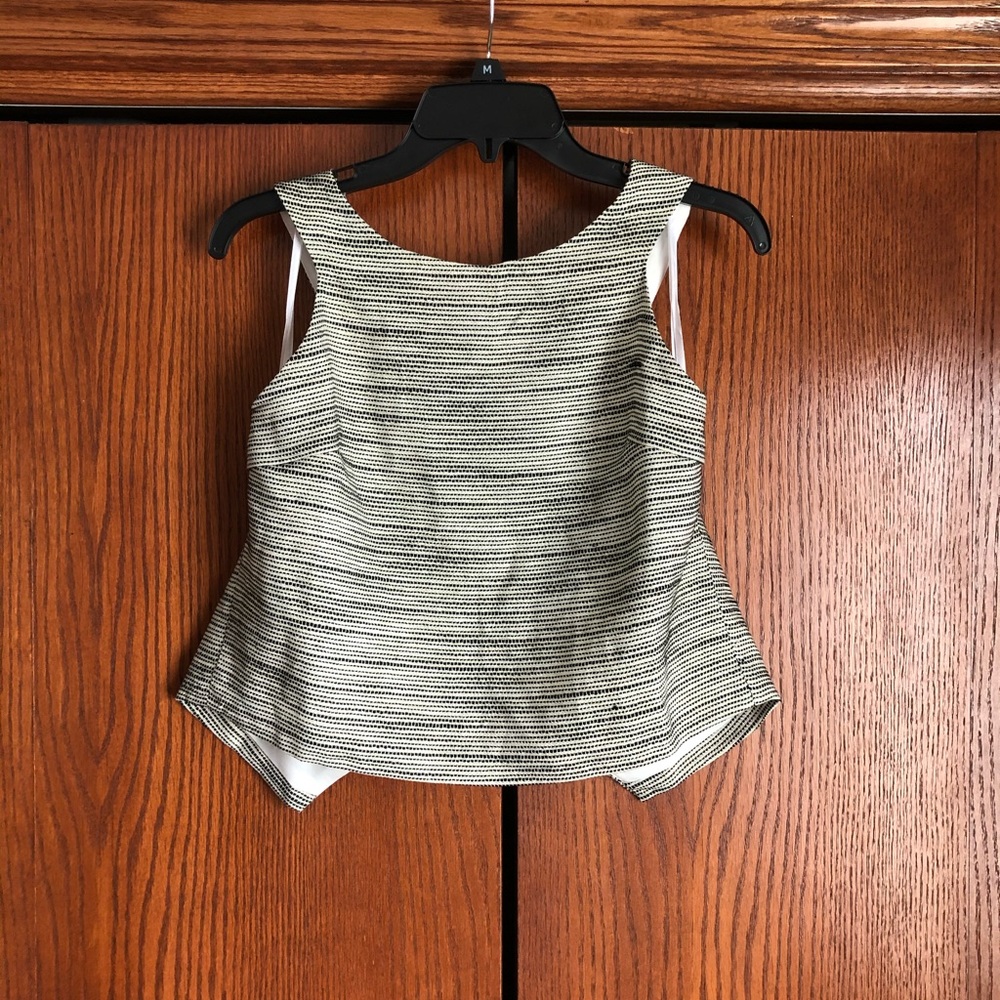 NWT She & Sky Crop Top